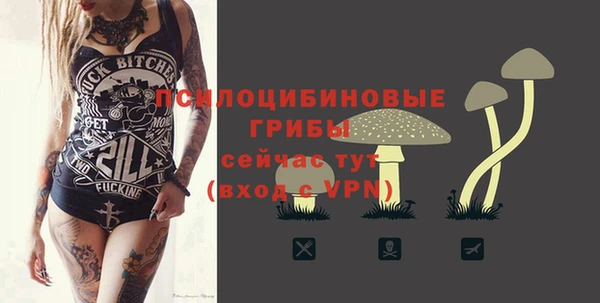mix Вязьма
