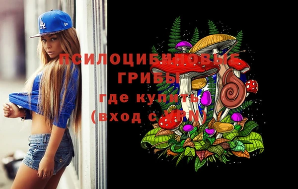 синтетический гашиш Вяземский