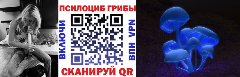 Псилоцибиновые грибы GOLDEN TEACHER Купить где Пролетарск